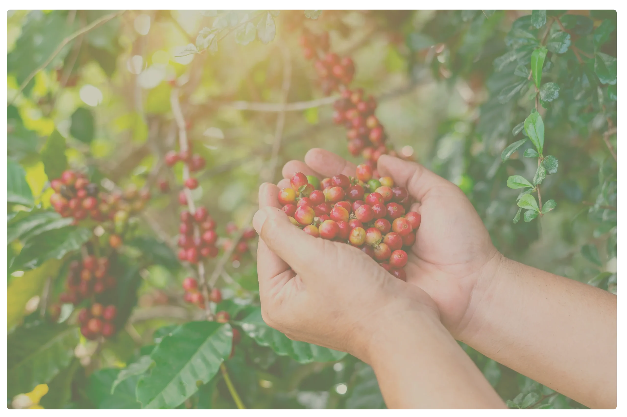 Ético, justo y sostenible