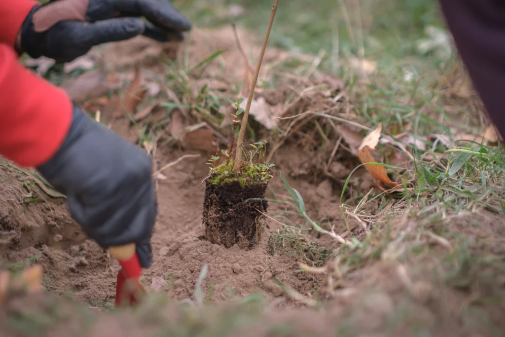 bosquia-cafestemplo-21102023-72